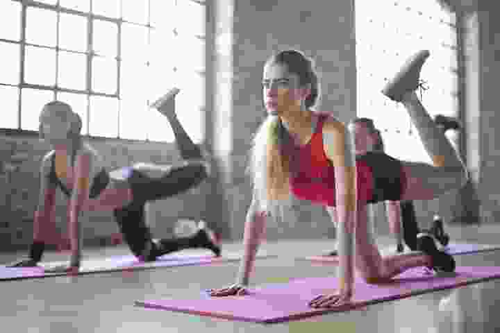 Fitness member app and wellness platform